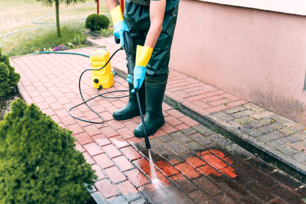 Best Restaurant Pressure Washing  in St Bonifacius, MN