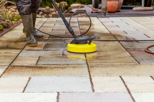 Best Animal Enclosure Cleaning  in St Bonifacius, MN