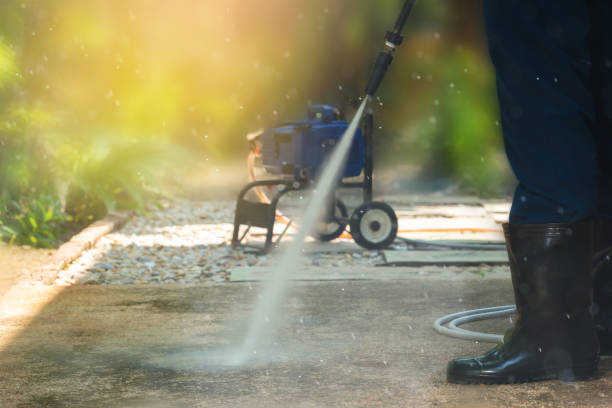 Best Dumpster Area Cleaning  in St Bonifacius, MN